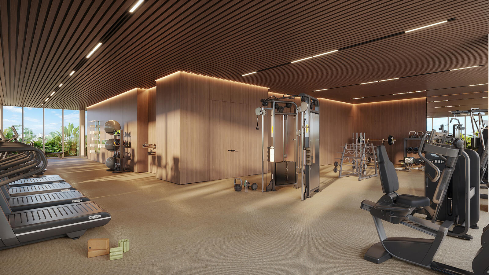 Gimnasio Gimnasio